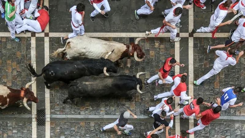 Consigna de equipaje en Paulino Caballero, Pamplona · Locker Go